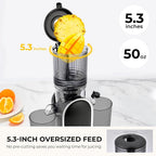 Cold Press Juicer, 300W, 5.3" Large Feed Chute, 1.5L Capacity, Automatic Feeding, High Yield, Easy to Clean, Ideal for Whole Fruits & Vegetables🔥